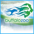 Buffalo Zoo Logo