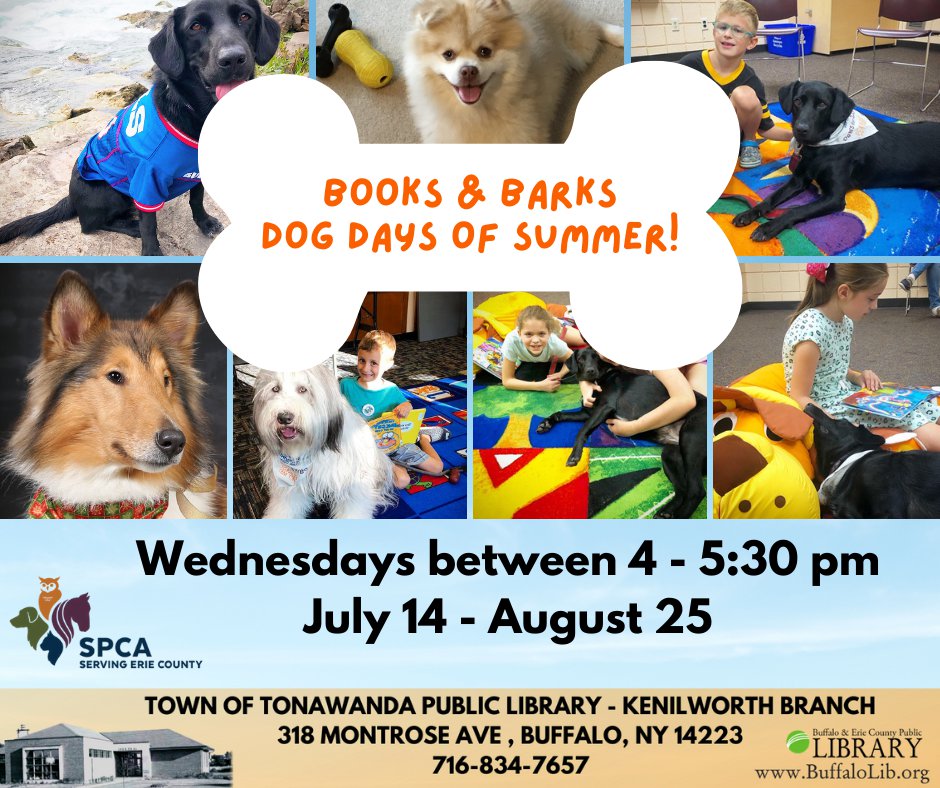 Copy of Copy of DOG DAYS OF SUMMER  BOOKS & BARKS.png