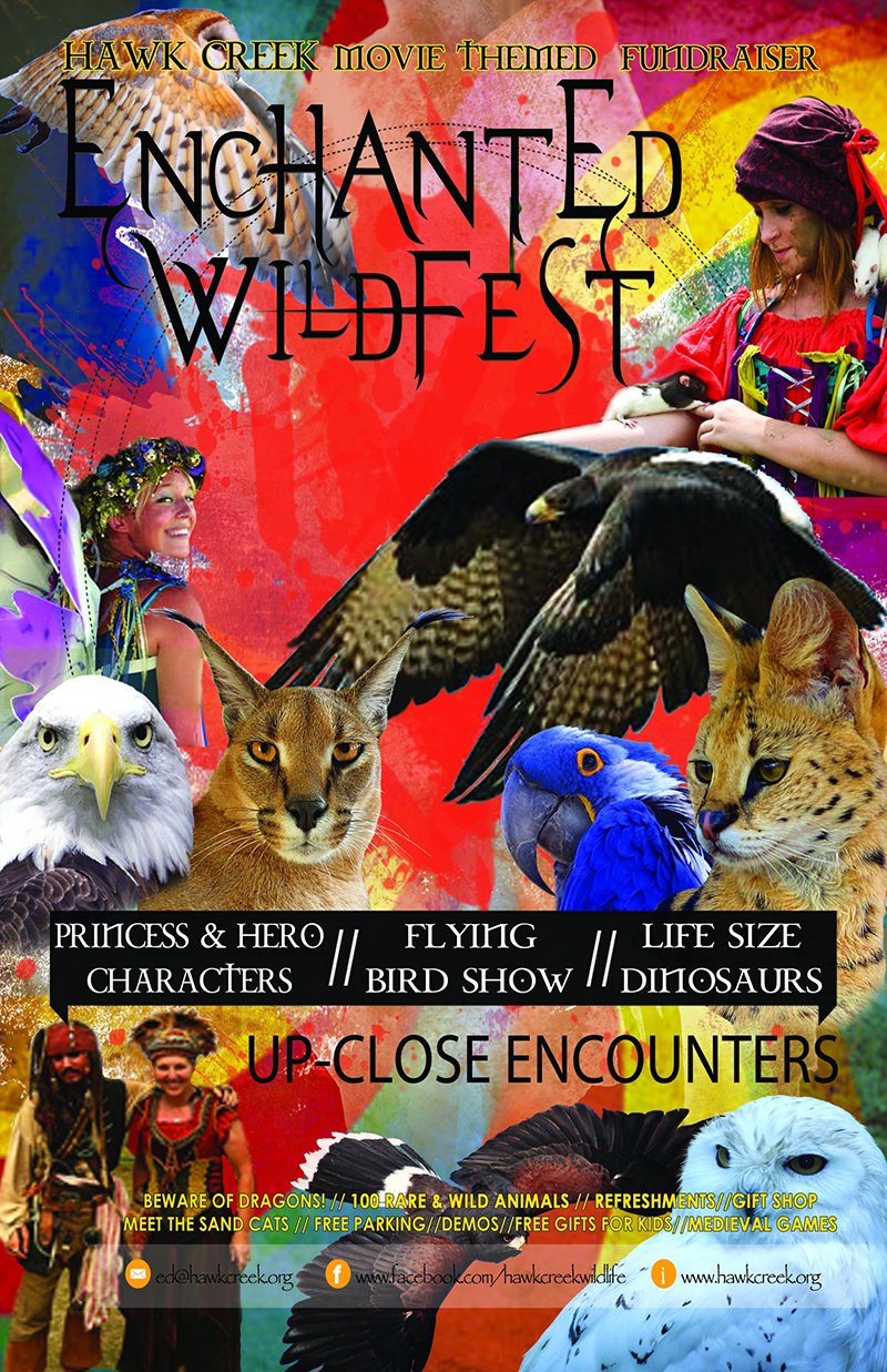 Enchanted Wild Fest.jpg