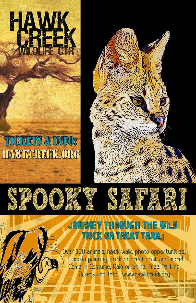 spooky-safari-downsized.jpg