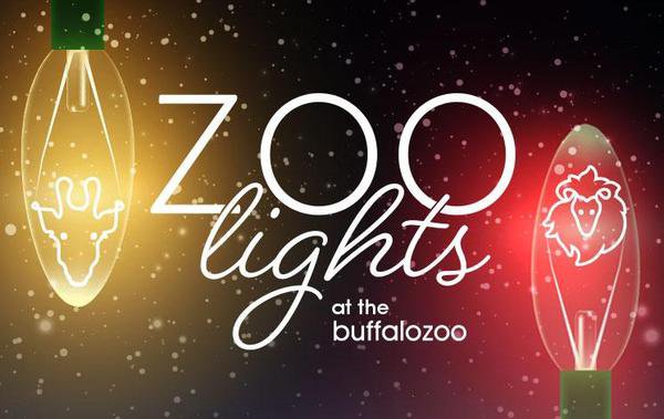 Zoo Lights.jpeg