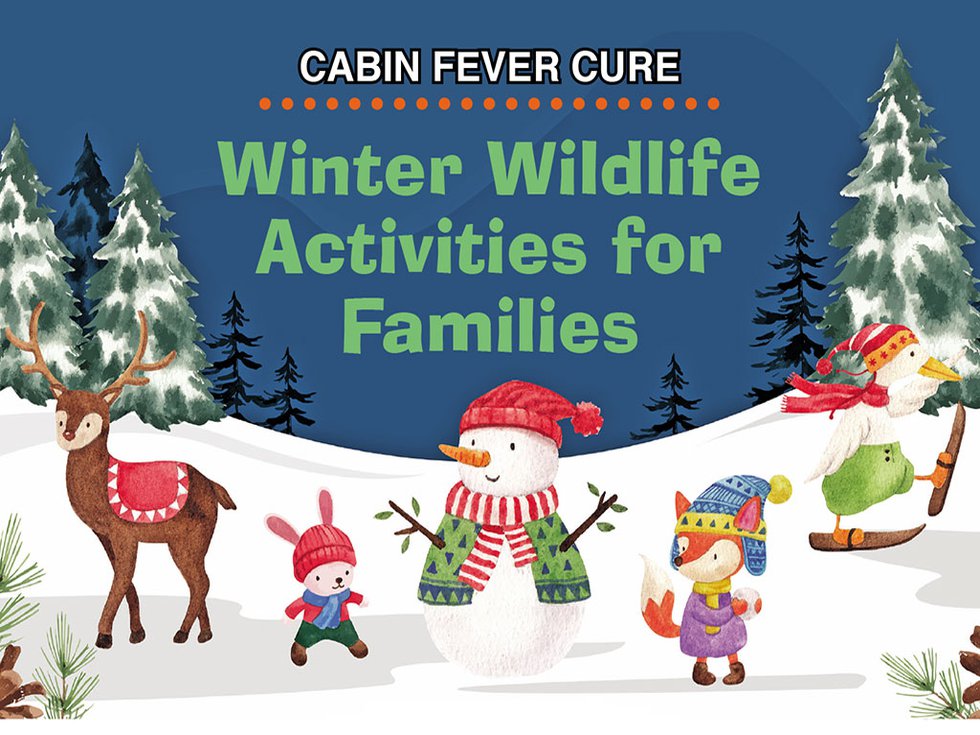 Winter-Wildlife-Activities.jpg