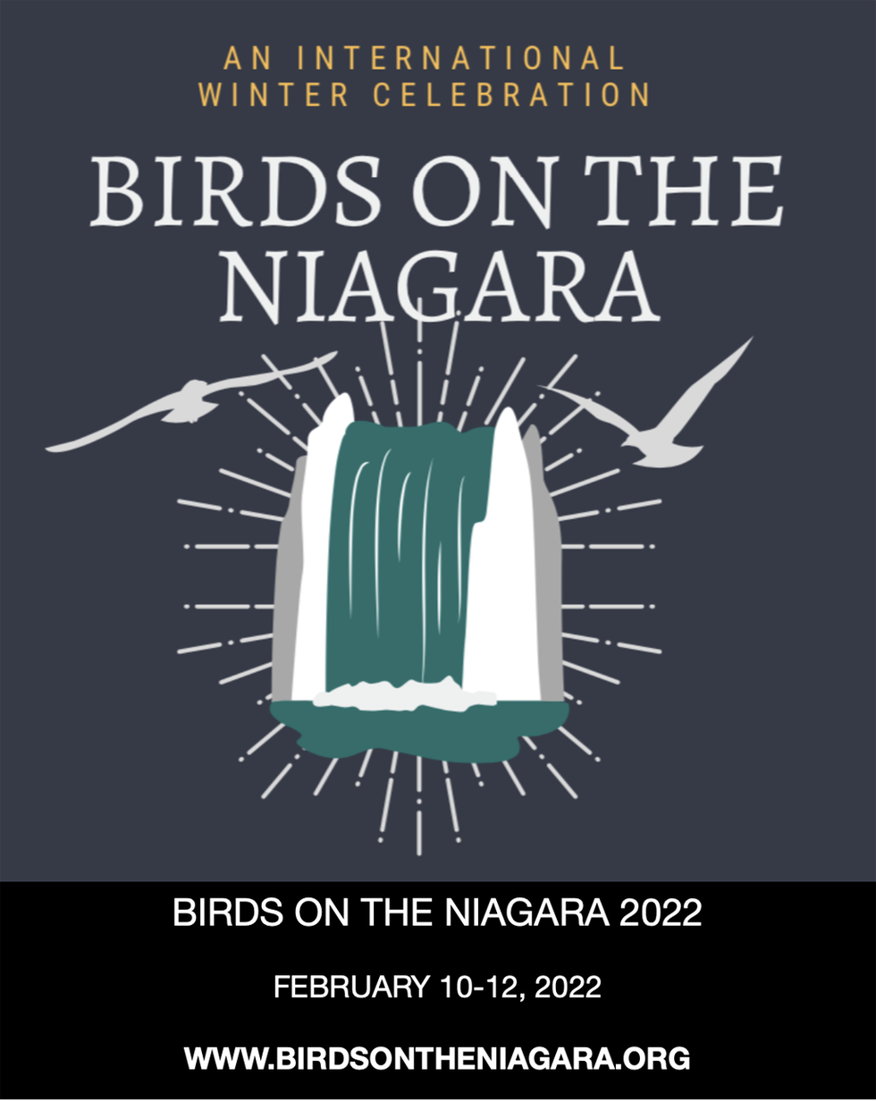 Birds On The Niagara.png
