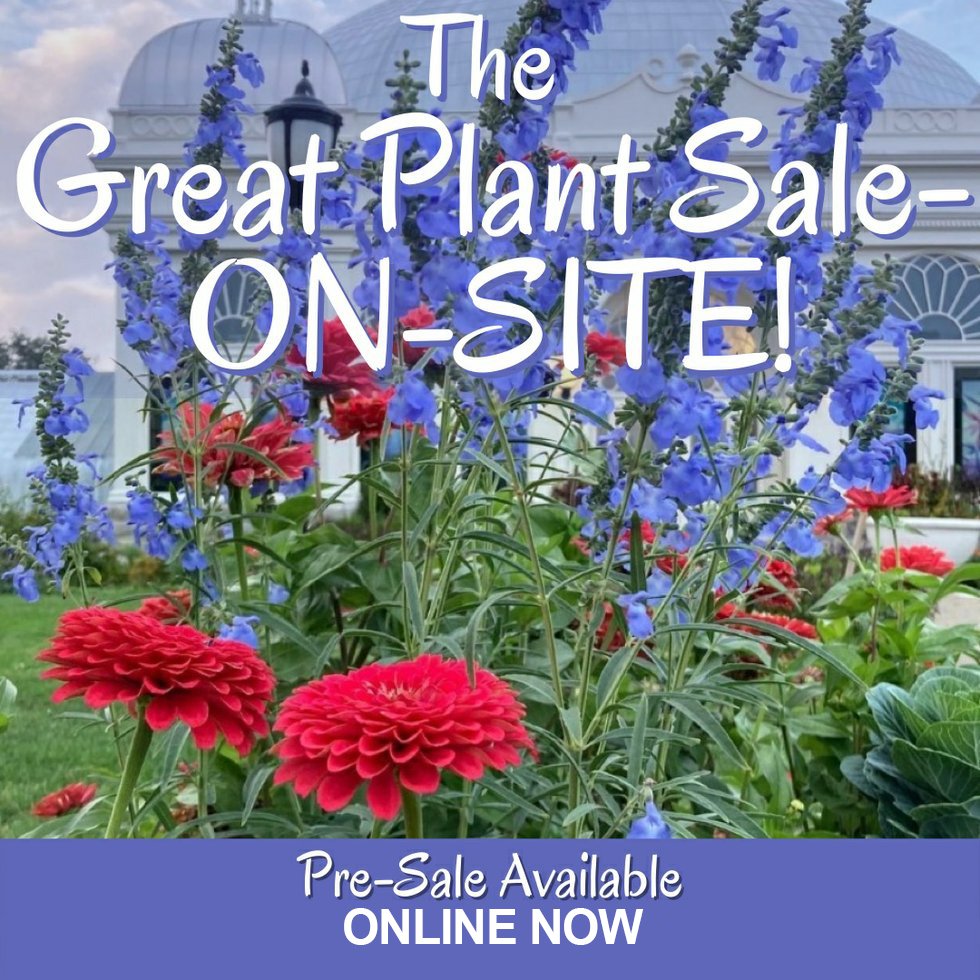 The Great Plant Sale 2022.jpg
