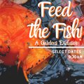 NEWEST feed the fish graphic copy.jpg