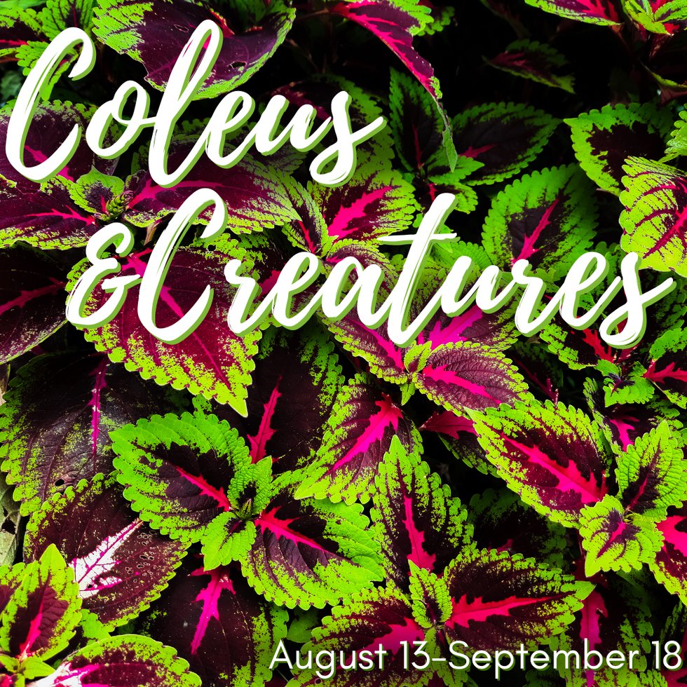 Coleus and Creatures.png