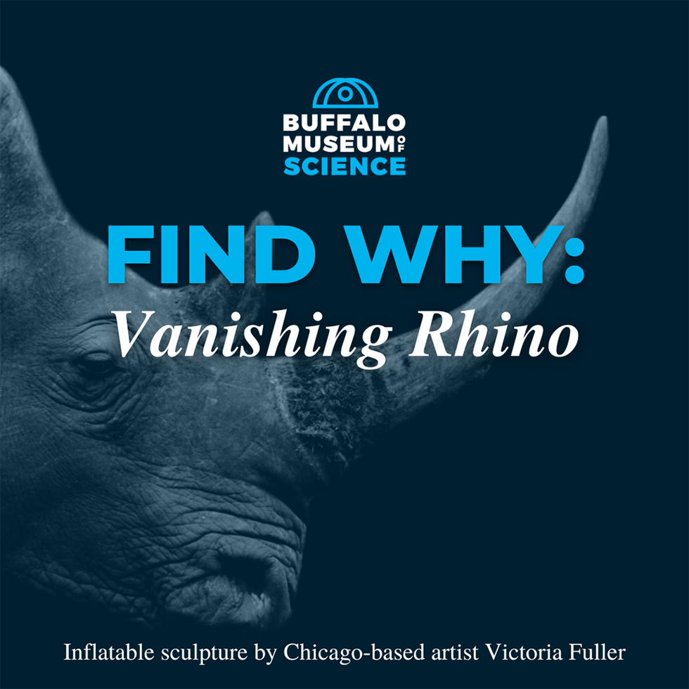 Vanishing Rhino.png