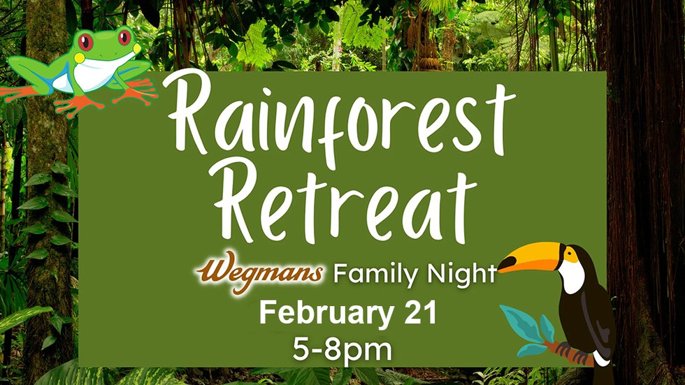 Rainforest Retreat.png