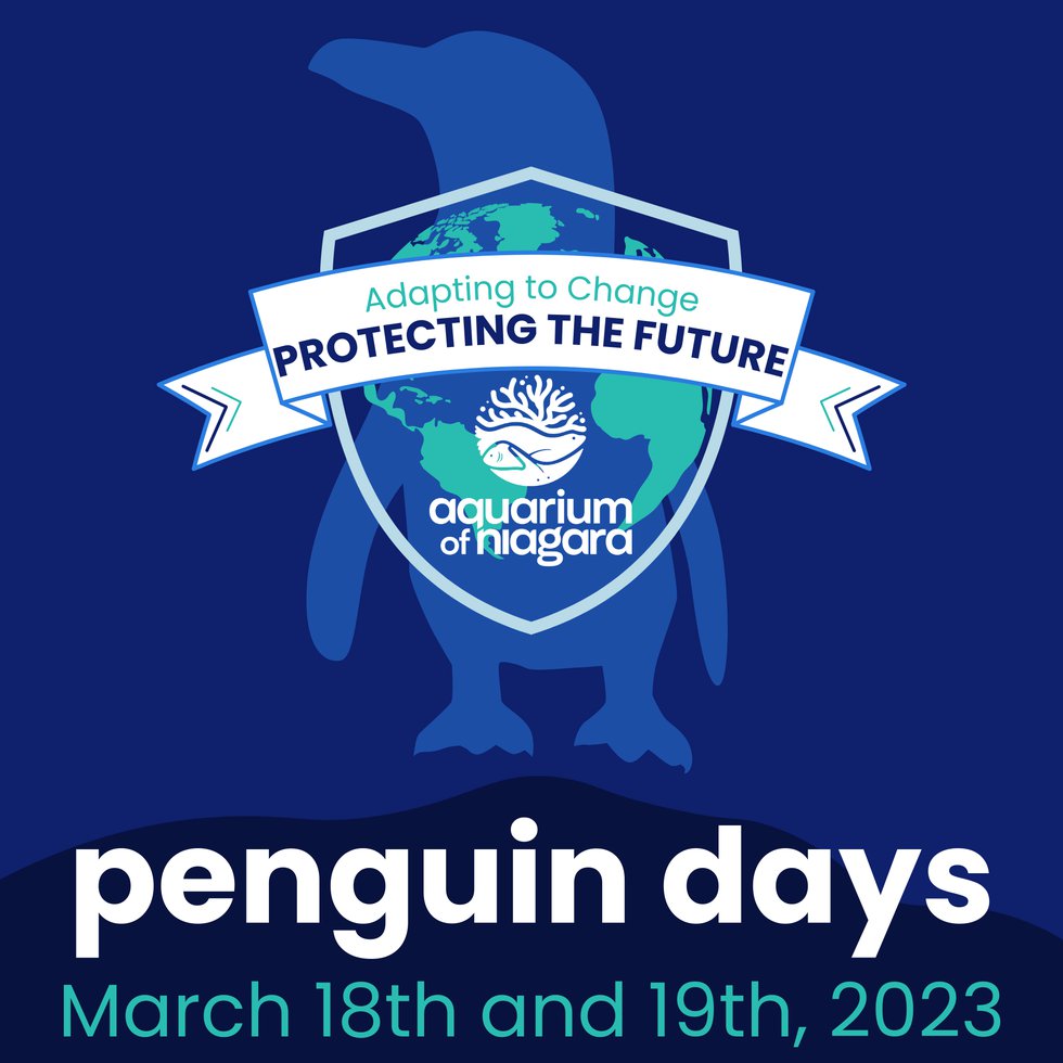 penguin days square.png