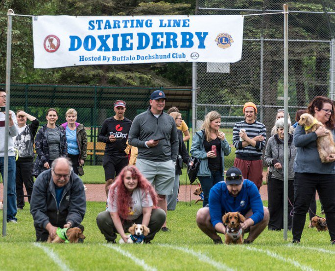 Doxie Derby.jpg