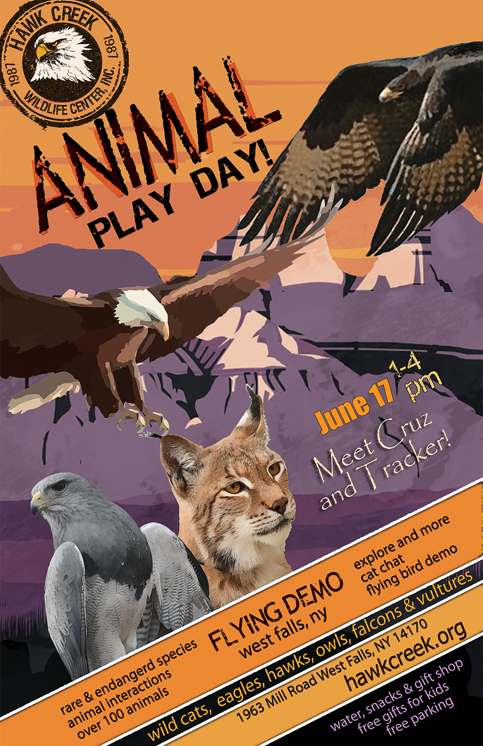 animal play day.png