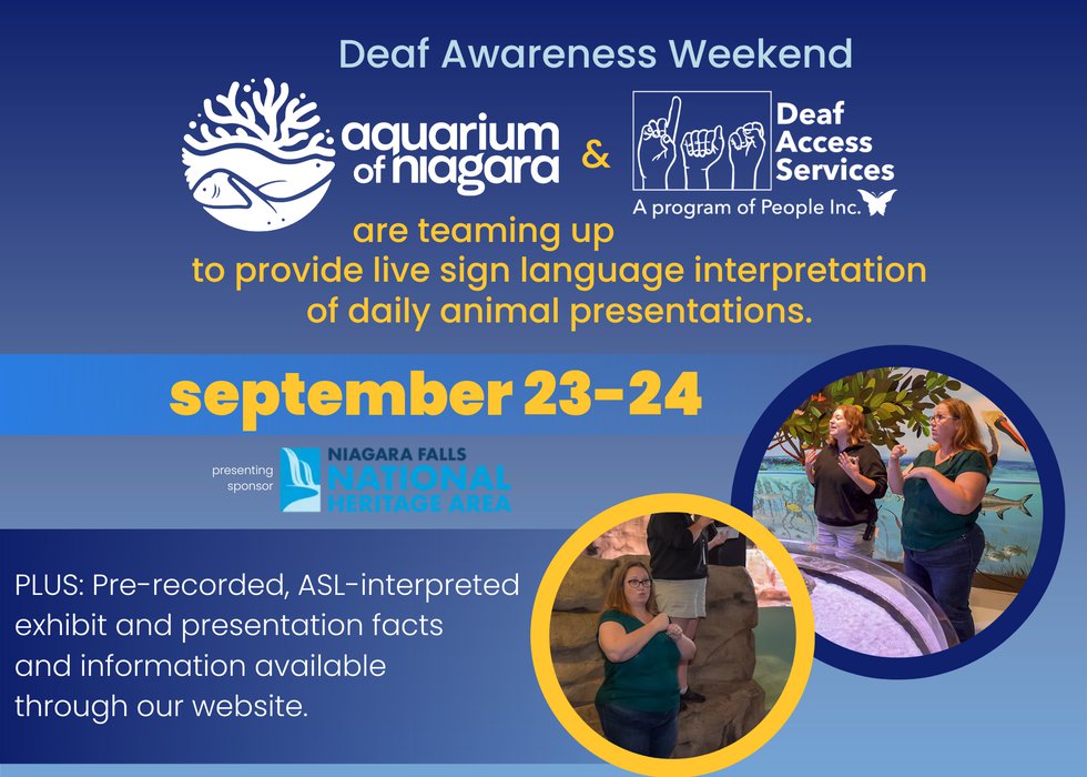 Deaf Awareness Weekend wide.png