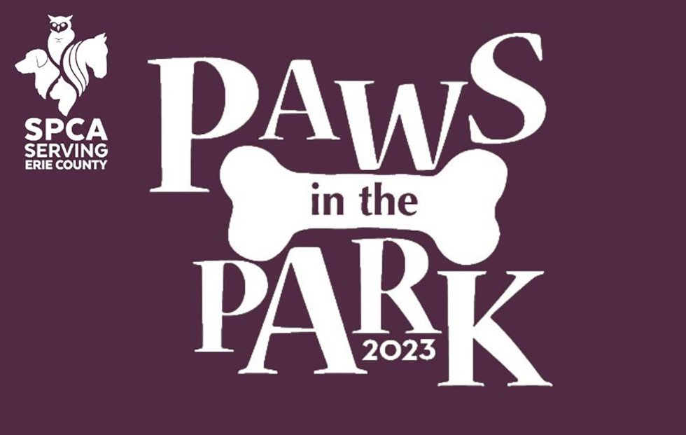 Paws in the Park.jpg