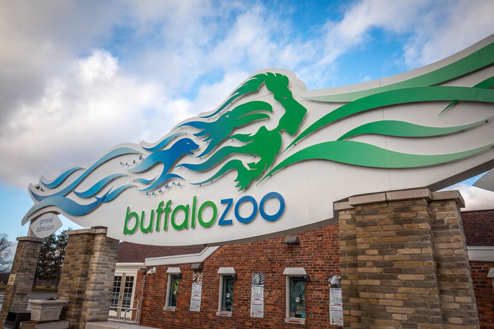 Buffalo Zoo Announces Zoo for All Program - Western New York Family ...