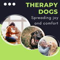 Therapy Dogs Kenmore Branch Teaser..png